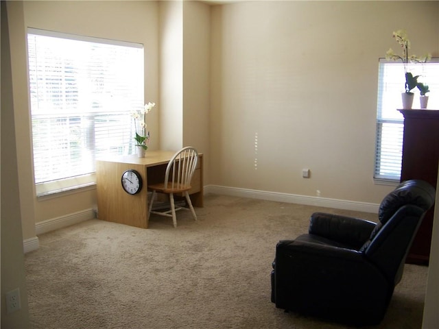 office space with a healthy amount of sunlight, baseboards, and carpet floors