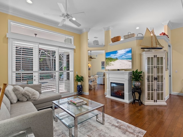 living room with dark wood-type flooring, ceiling fan, and crown molding