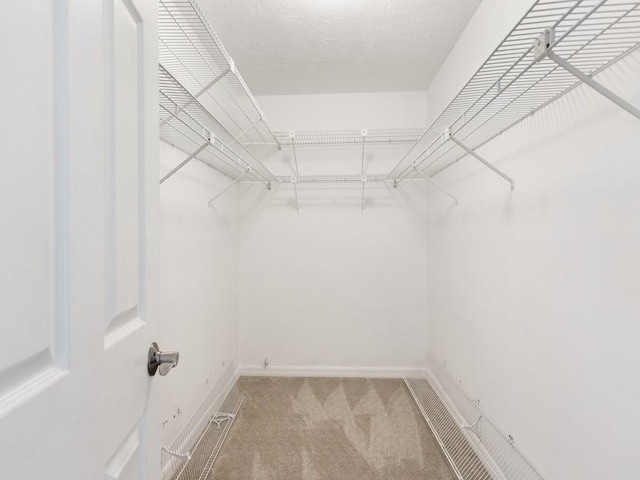 spacious closet featuring carpet floors