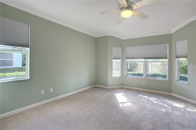 carpeted spare room featuring ceiling fan, a healthy amount of sunlight, and crown molding