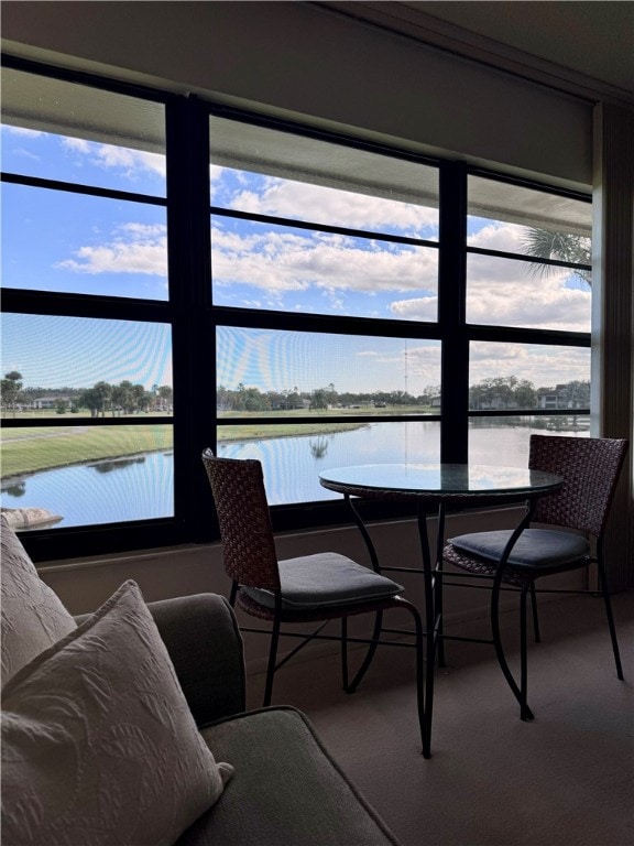 carpeted dining room with a water view and a wealth of natural light