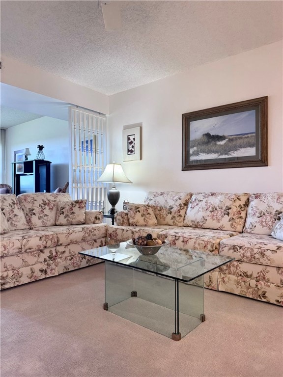 living room featuring carpet flooring and a textured ceiling