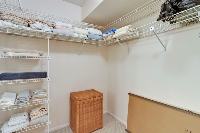 spacious closet with carpet floors