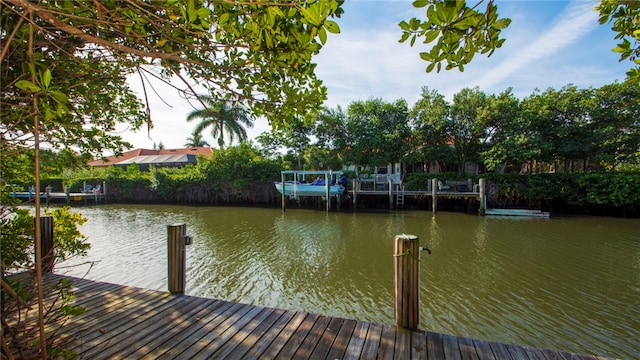 dock area featuring a water view