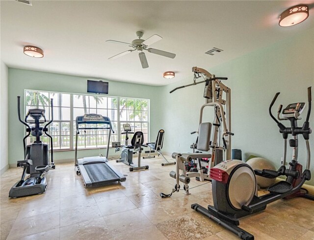 workout area featuring a wealth of natural light and ceiling fan