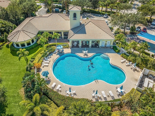 view of swimming pool with a patio area