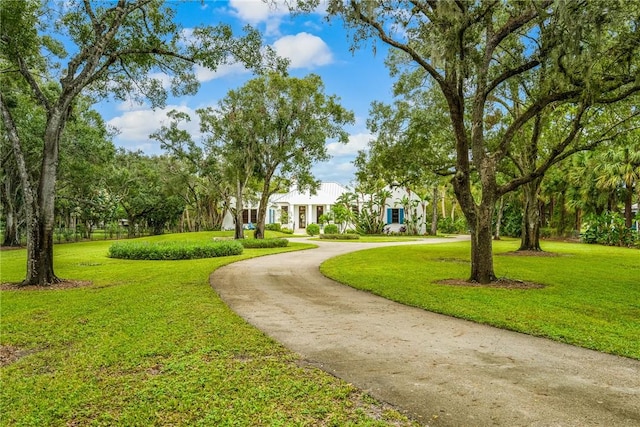 view of property's community with a yard and curved driveway