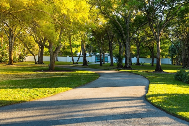 view of home's community featuring a yard