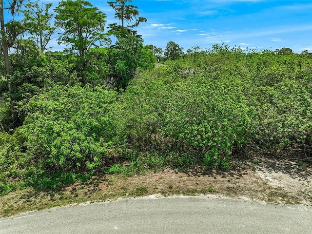 1257 Pagado Rd SE, Palm Bay, FL 32909 - photo 2
