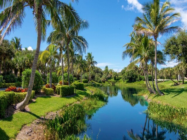 water view