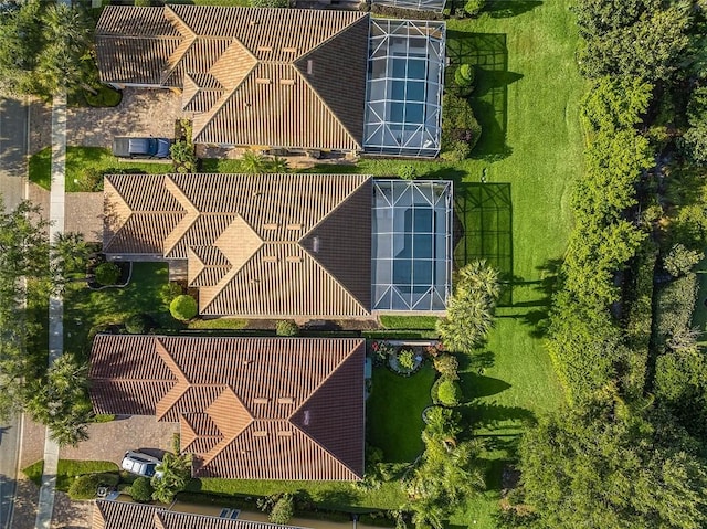 bird's eye view