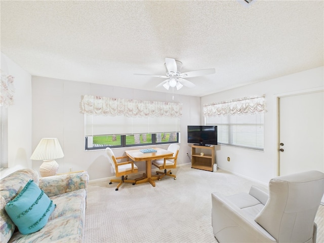 431 Kendall Ave, Sebastian, FL 32958 - photo 15