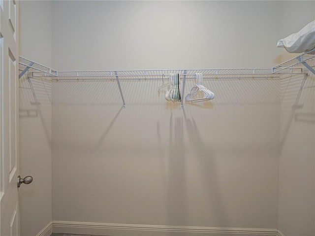 view of walk in closet