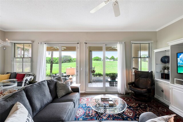 living room featuring ornamental molding, a wealth of natural light, a textured ceiling, and ceiling fan