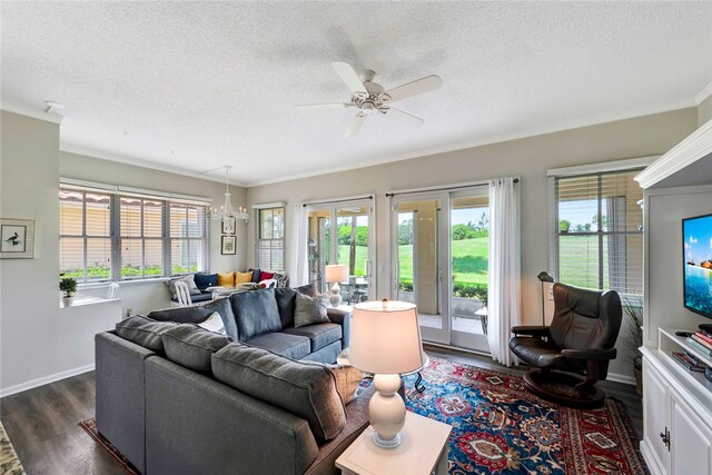 living room featuring dark wood-type flooring, a textured ceiling, ornamental molding, and ceiling fan with notable chandelier