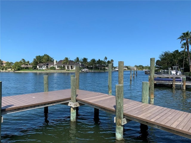 dock area with a water view
