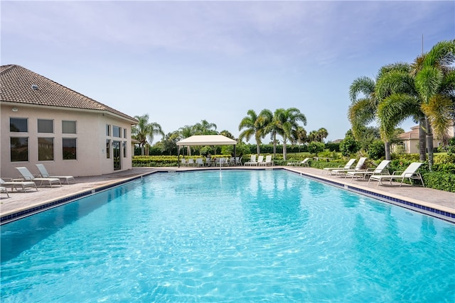 view of swimming pool featuring a patio