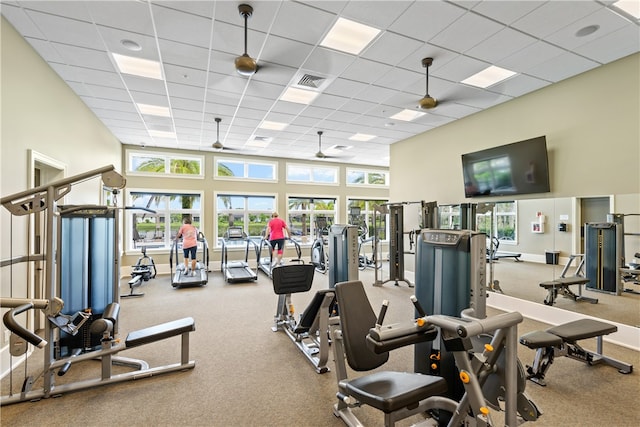 gym featuring a high ceiling, a drop ceiling, carpet floors, and plenty of natural light