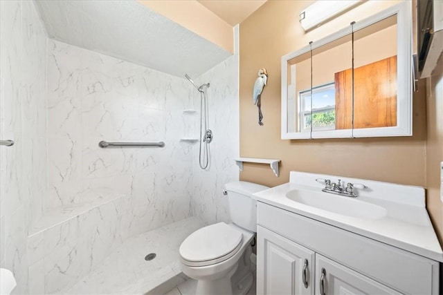 bathroom with a shower, vanity, and toilet