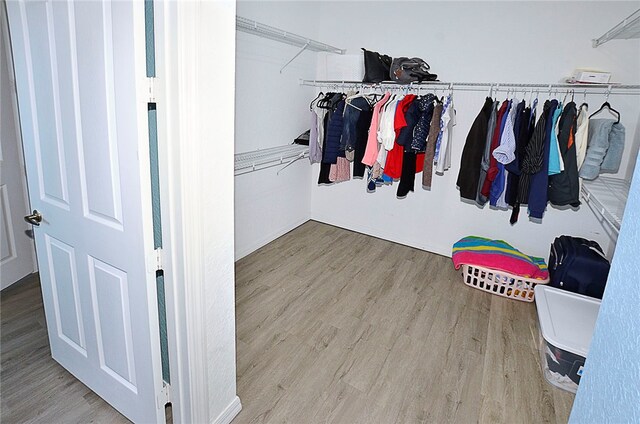 spacious closet featuring light wood-type flooring