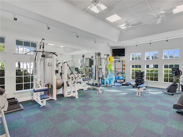 exercise room with carpet, ceiling fan, rail lighting, and a high ceiling