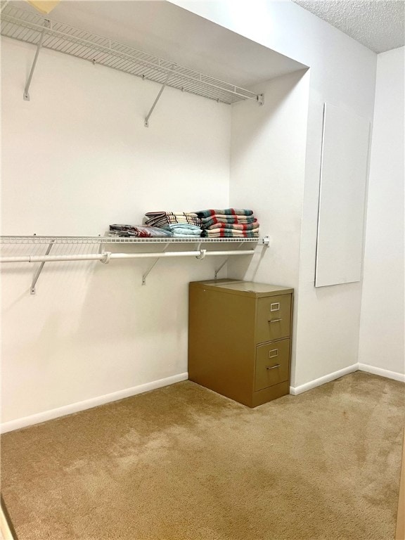 walk in closet with light colored carpet