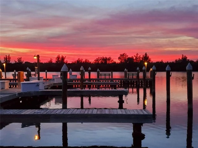 dock area with a water view