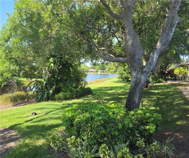 view of yard with a water view