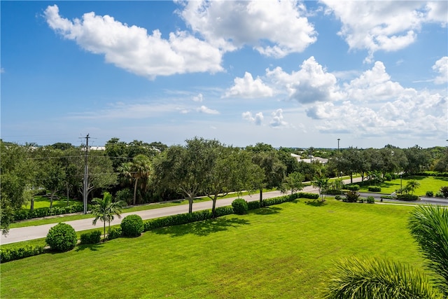 view of property's community featuring a yard