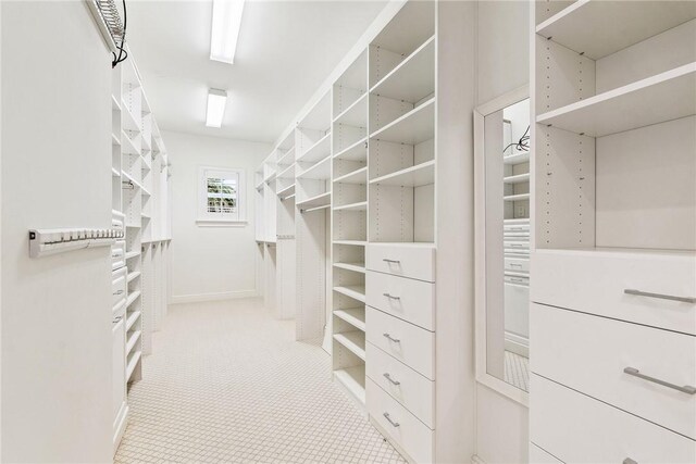121 Palm Island Ln, Vero Beach, FL 32963 - spacious closet with carpet