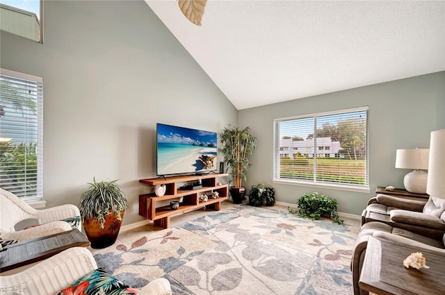 carpeted living room with high vaulted ceiling