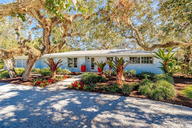 view of ranch-style house