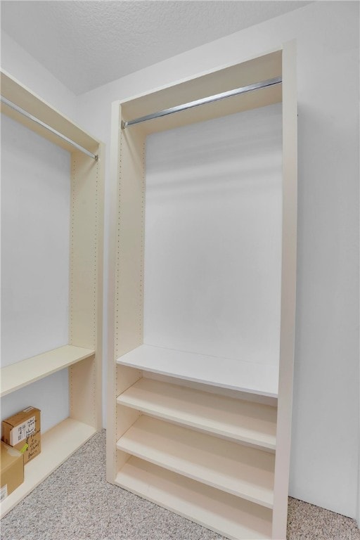 spacious closet with carpet floors