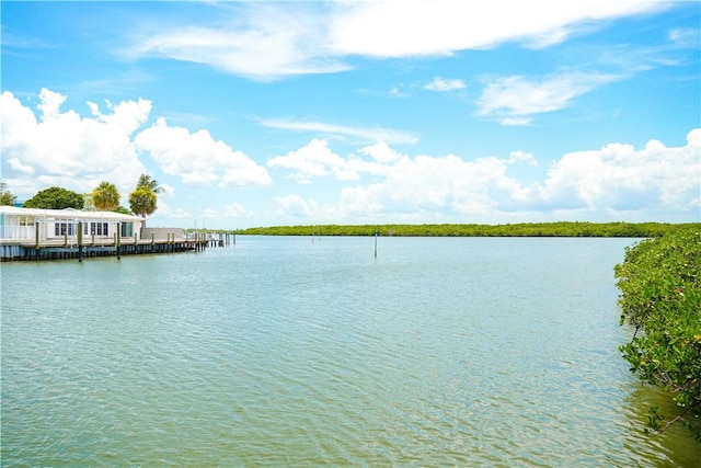 2020 Lynx Dr, Hutchinson Island, FL 34949 - photo 30