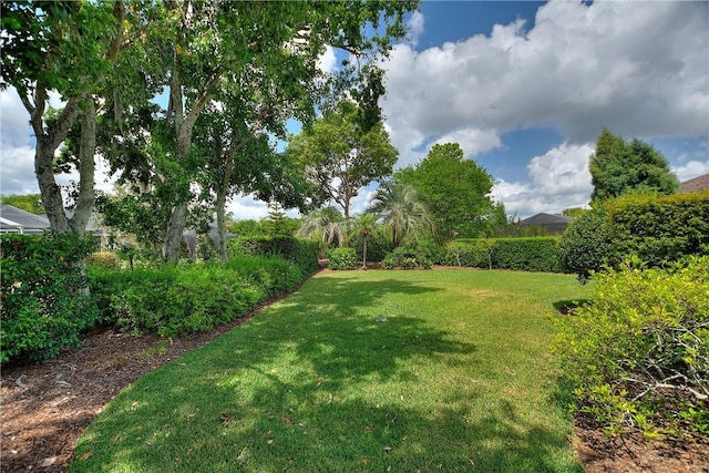 view of grassy yard