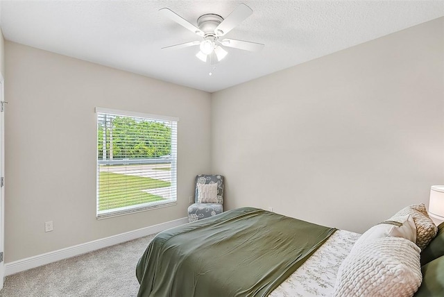 805 Barber St, Sebastian, FL 32958 - photo 29