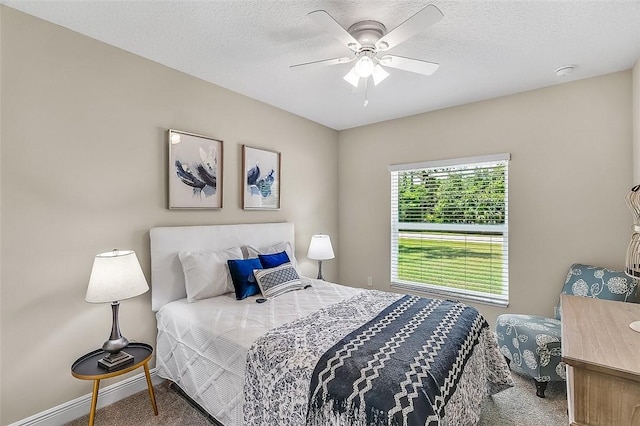 805 Barber St, Sebastian, FL 32958 - photo 26