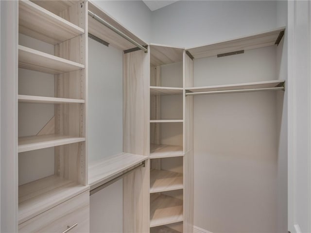 view of walk in closet