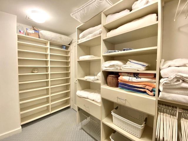 spacious closet featuring carpet