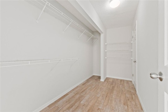 spacious closet featuring light hardwood / wood-style floors