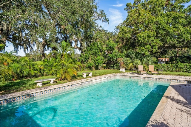 view of swimming pool with a patio area