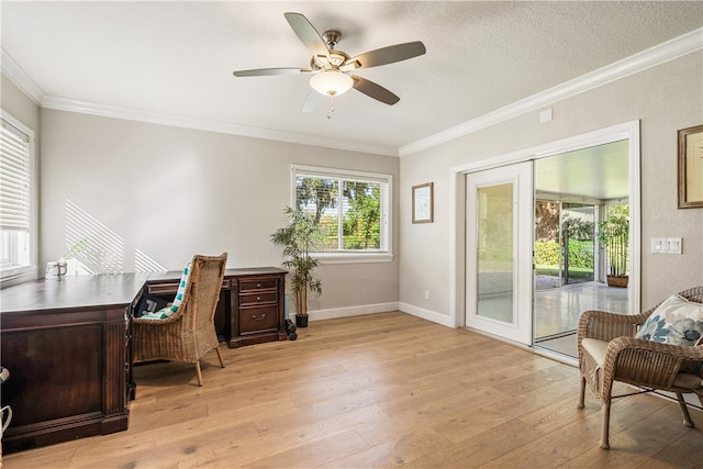 office space featuring light hardwood / wood-style floors, ceiling fan, a textured ceiling, and crown molding