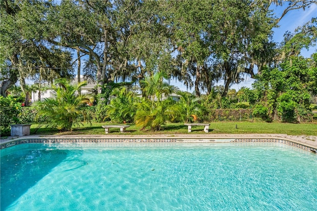 view of pool with a yard