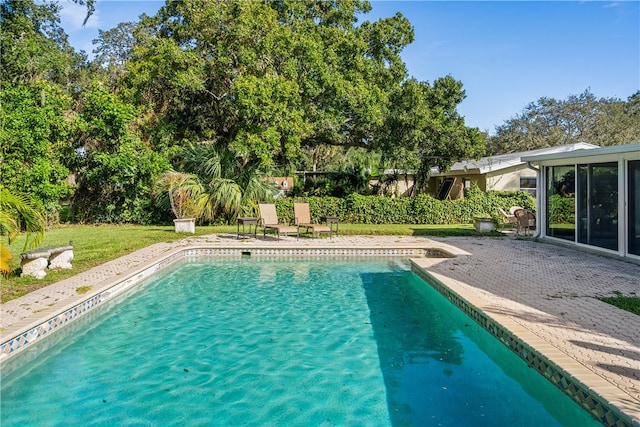 view of swimming pool featuring a yard and a patio area