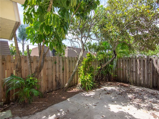 view of yard featuring a patio area