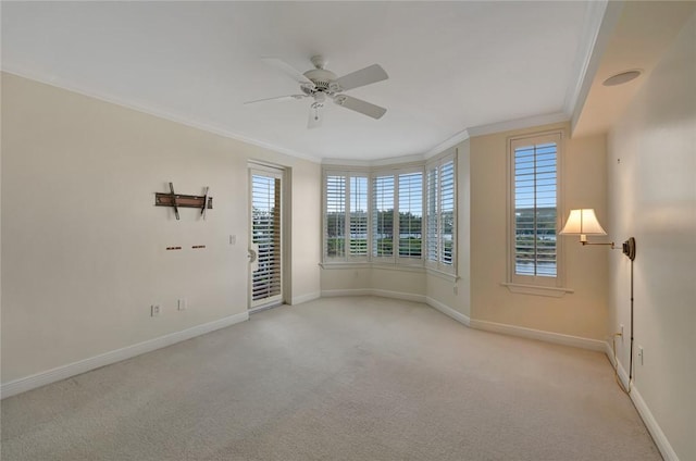 carpeted spare room with ceiling fan and ornamental molding