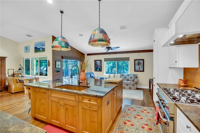 kitchen with light wood-type flooring, a wealth of natural light, high end stainless steel range oven, and sink