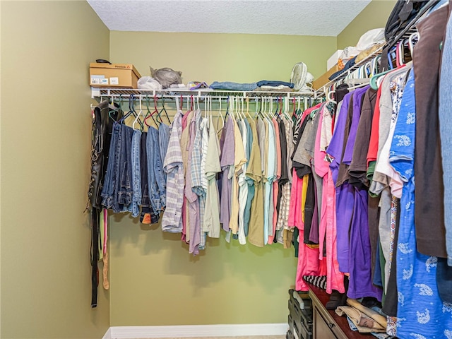 view of walk in closet