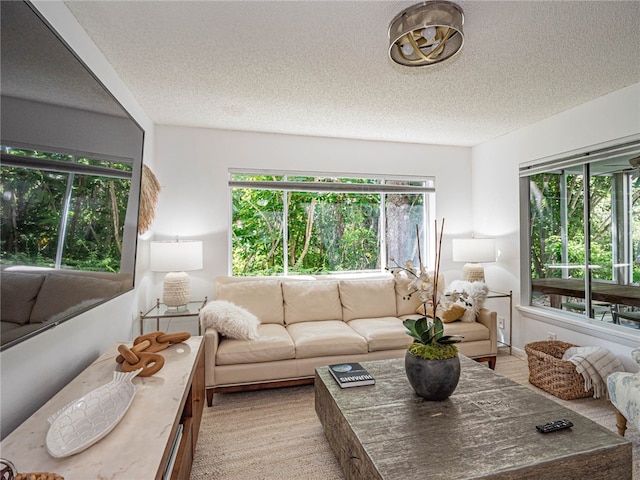 living room featuring a textured ceiling