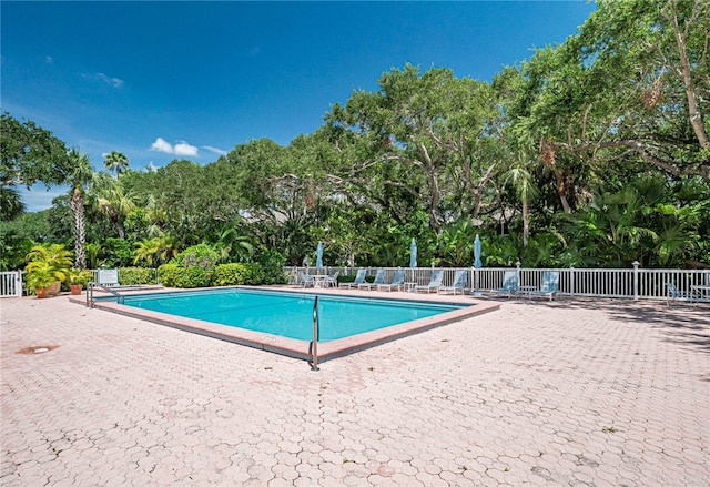 view of pool featuring a patio area